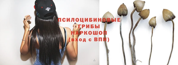 твердый Балахна