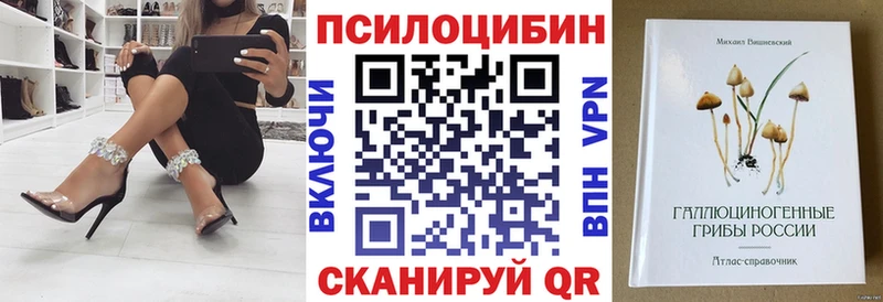 Галлюциногенные грибы MAGIC MUSHROOMS  гидра зеркало  Дальнегорск 